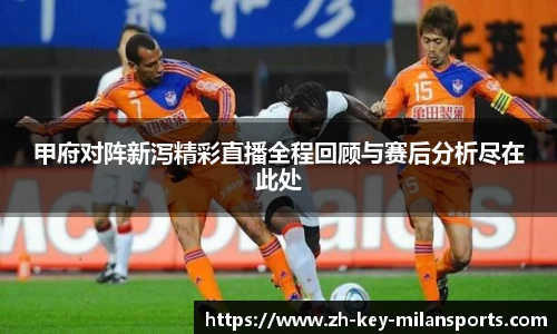 甲府对阵新泻精彩直播全程回顾与赛后分析尽在此处