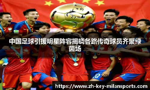 中国足球引援明星阵容揭晓各路传奇球员齐聚绿茵场